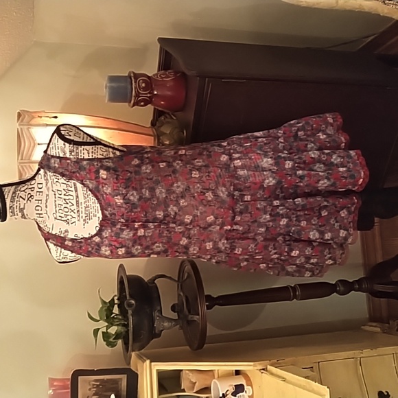 Womens Susina sheer dropwaist dress NWOT medium - Picture 1 of 6